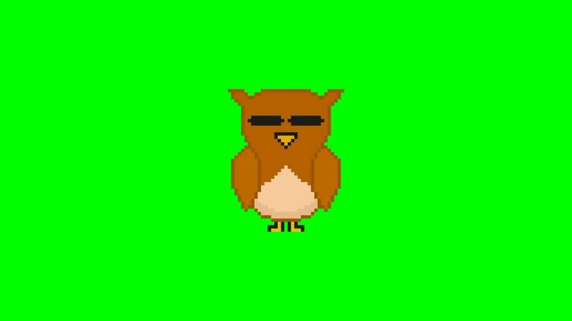 cute owl pixel art 2d animation
