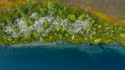 top view of the shore with trees and lake