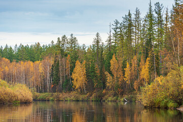 Obraz premium autumn landscape in the taiga with a river