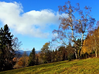 Fototapeta premium Czech Republic-view of the peak Snezka in the Giant Mountains