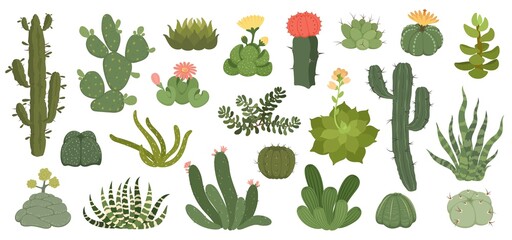 Cute cactus and succulents with flowers, exotic desert plants. Spiky succulent with flowering blossom, home decor terrarium plant vector set. Green spiny cartoon elements with bloom © Frogella.stock