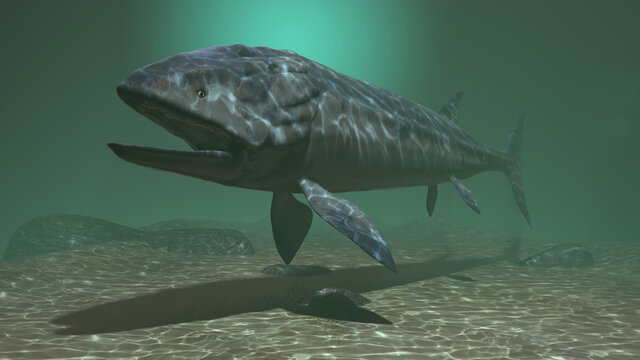 3D illustration of a Leedsichthys (Middle Jurassic)