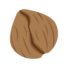 Walnut in shell Vector Icon. Illustration in flat cartoon style