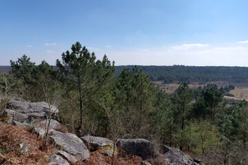 Corne-Biche rock in Fontainebleau forest