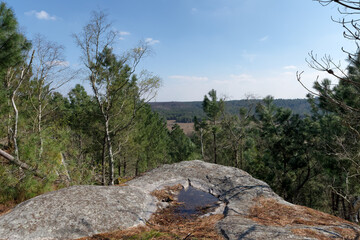 Corne-Biche rock in Fontainebleau forest