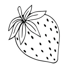 Strawberry freehand drawings, delicious ripe berries, vector image, retro style
