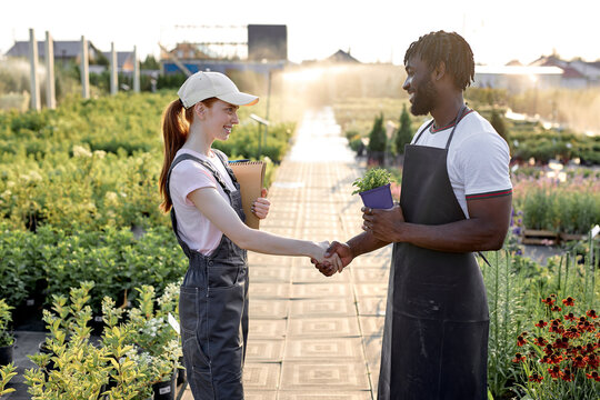 Male and female multiracial engineers shaking hands after successful inspecting greenhouse organic farm business construction. Multi-sex farmers. happy Man and woman. Agronomy concept