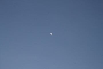 moon in the sky