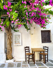 Traditional greek tavern cafe restaurant under a beautiful flower tree, cycladic islands, village serifos table and chairs in front of a Greek house - obrazy, fototapety, plakaty