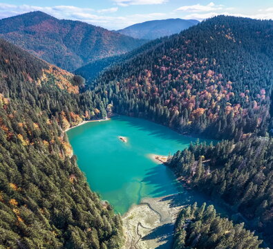 Beautiful picturesque mountain lake synevyr in the highlands, high in the mountains pine forest and firs