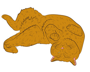 Realistic playing ginger cat. vector illustration