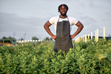 Man working in organic vegetables farm. black handsome Male in garden, worker in black uniform,...