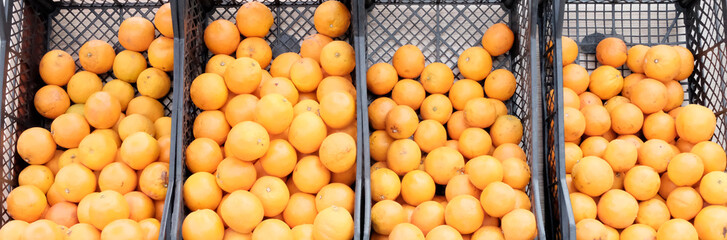 апельсины в ящике