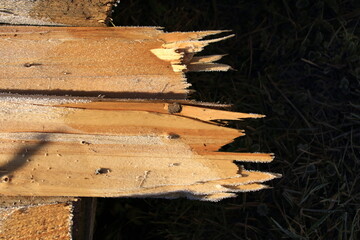 Bruchkante an einem Brett aus Bauholz