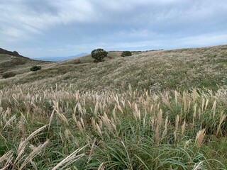 9월 가을의 황매산, 한국 억새가 아름다운 명산 풍경 /  Hwangmaesan Mountain in the fall of September, famous mountain scenery with beautiful Korean silver grass