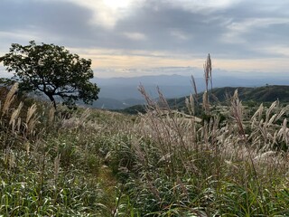 9월 가을의 황매산, 한국 억새가 아름다운 명산 풍경 /  Hwangmaesan Mountain in the fall of September, famous mountain scenery with beautiful Korean silver grass