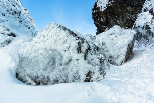 in winter scenery