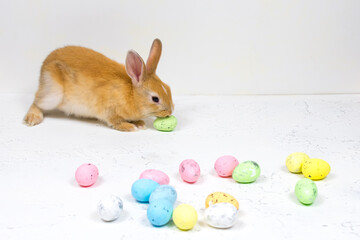 Redhead bunny with colorful eastereggs on white background. Place for an inscription.
