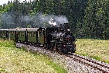 On a summer day a steam engine in Lower Austria steams a freshly cut grass field.