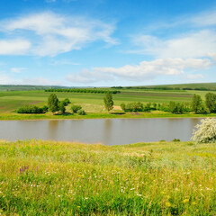 Naklejka premium summer landscape. Meadow, lake, agricultural fields and blue sky.