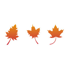 Orange leaf sign icon. Vector illustration eps 10.