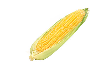 Fresh corn isolated on white background.