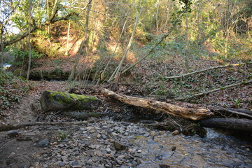 Orvault - Ville verte - La vallée du Cens	