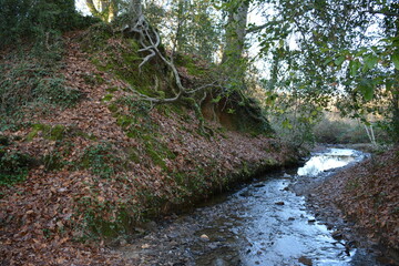 Orvault - Ville verte - La vall&eacute;e du Cens	