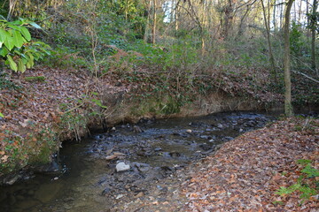 Orvault - Ville verte - La vallée du Cens	