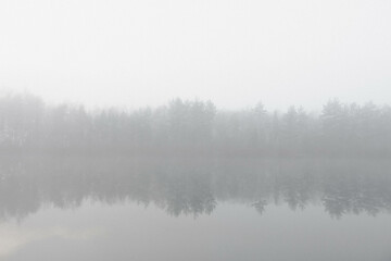 fog on the lake, misty morning in the forest