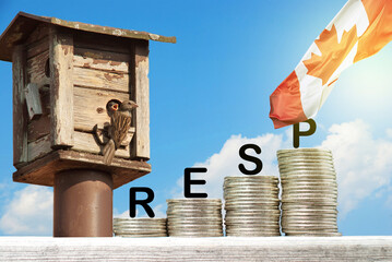 Money saving concept for RESP investment with stacked coins next to birds house