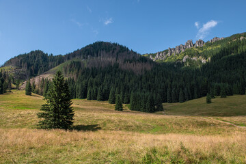 Mnichy Chochołowskie, pionowe iglice skalne w Tatrach
