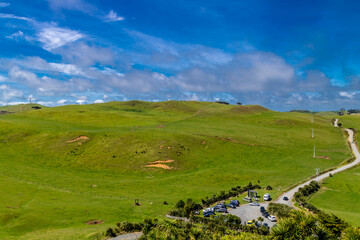 Road to the lighthouse. Manakua Heads, Auckland, New Zealand