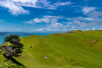 Fototapeta premium A view of the Manakua Harbour from the lighthouse. Manakua Heads, Auckland, New Zeland