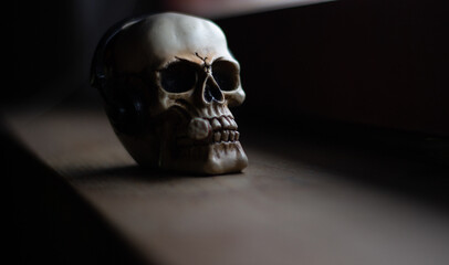 skull with headphones and cigar