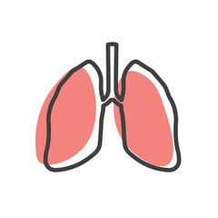 Human lungs linear icon. Internal organ. Respiratory system icon. Anatomy, medicine concept. Healthcare. Vector illustration isolated on white background.	