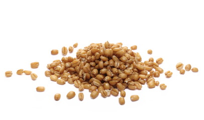 Cooked spelt grain pile isolated on white