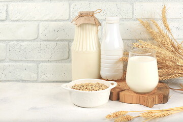 Oat vegan alternative milk lactose and gluten free, allergy free, healthy eating concept, maintaining healthy gut microflora, diet nutrition, weight loss