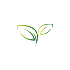 Green leaf, natural leaf icon logo design template