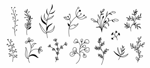 Floral and herbal set. Fantasy Botanical elements twigs and flowers isolated on white background. contour illustrations of spring flowers