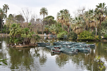 Fototapeta na wymiar Pond in Barcelona, Spain