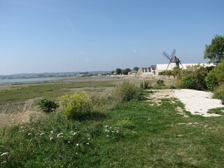french coastal landscape in normandy with high tide in summer with a mill and oyster sheds and barns