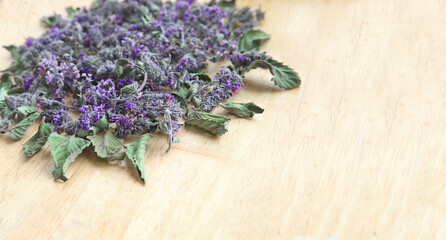 Dried lemon balm, leaves and flowers