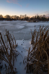 Footprints on a frozen pond in the snow