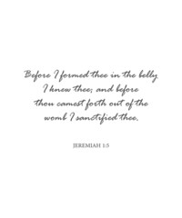 Before I formed thee in the belly I knew thee, Jeremiah 1:5, encouraging bible verse, scripture poster, Home wall decor, Christian banner, Baptism wall gift, vector illustration