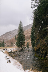 Fototapeta na wymiar River in the mountains during snowy winter
