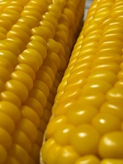 close up of corn
