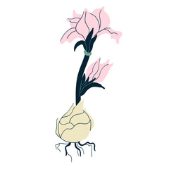 Flower plant botanical illustration wedding design