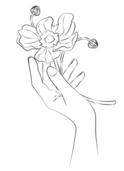 female hand with a beautiful flower 