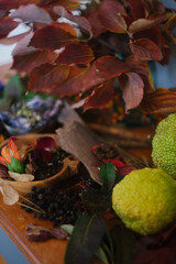 Naklejka na ściany i meble Nature Still Life of an Assortment of Fall Leaves, Petals, Fruits